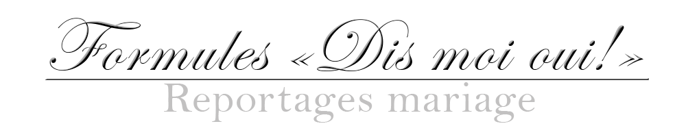 Photographe mariage en Seine-Saint-Denis (93)